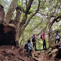 220618 新北第一高峰-塔曼山