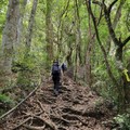 220618 新北第一高峰-塔曼山