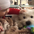 20170126 Вестик и ребенок - Westie n kid