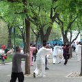 北京習拳