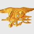 US Delta Force Navy Seals 025