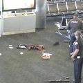 USA LAX洛杉磯機場槍擊案後現場曝光  003