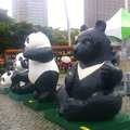 ２０１４貓熊臺北