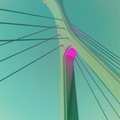社子大橋已搭配LED燈光，每天輪流放射一種顏色，包括紅、黃、藍、綠、橘、白等，給民眾不一樣的感覺，節慶就會換成炫爛的彩色。
