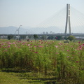 大台北都會公園之一部分