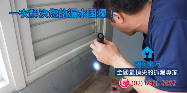 全國頂尖壁癌處理專家