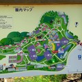 2015年四月～日本  足利市藤花公園