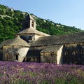 法國~亞維農修道院