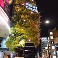 2011年12月～日本 1