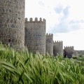 西班牙～阿維拉城牆