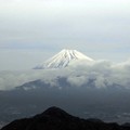 2016年四月～伊豆之國天空樂園