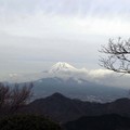 2016年四月～伊豆之國天空樂園