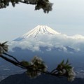 2016年四月～伊豆之國天空樂園