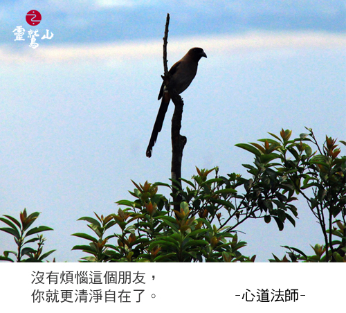 心道法師語錄