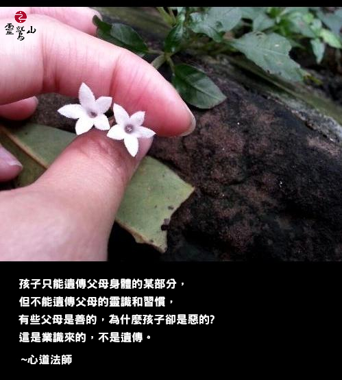 心道法師語錄