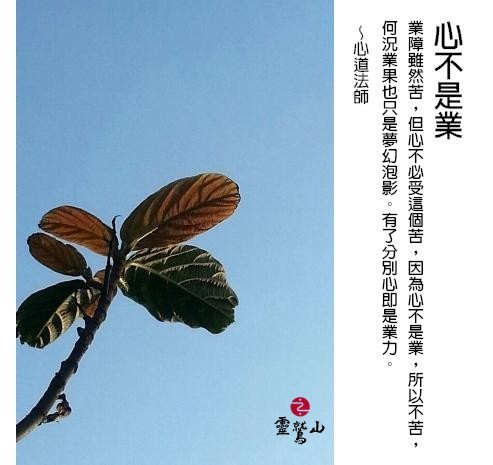 心道法師語錄