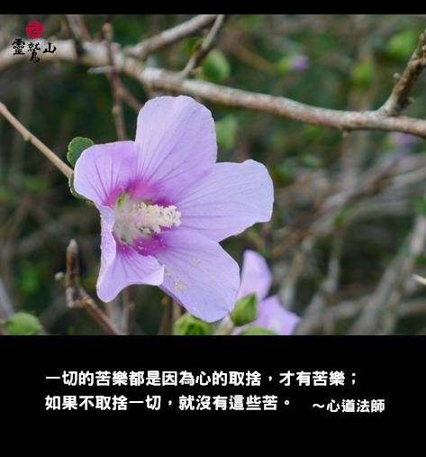 心道法師語錄