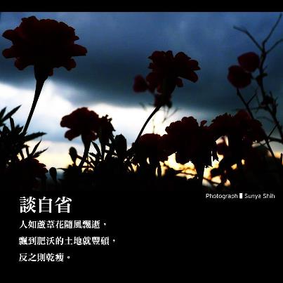 心道法師語錄