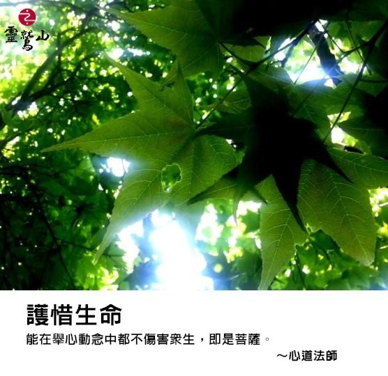 心道法師語錄