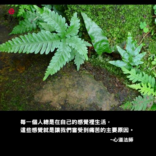 心道法師語錄