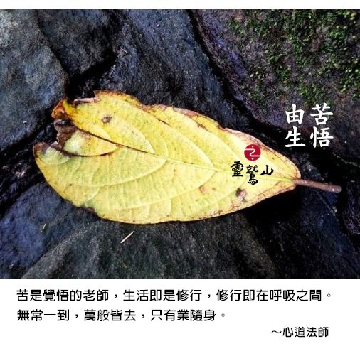 心道法師語錄