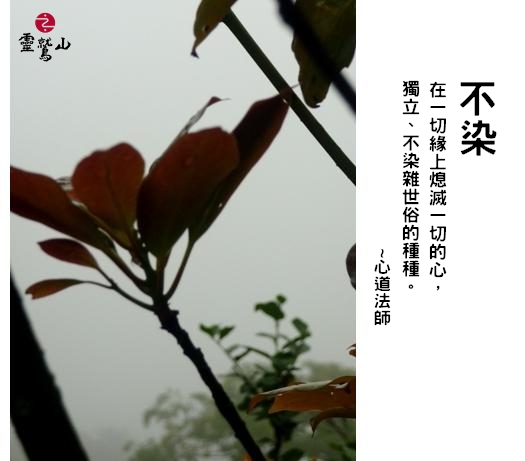 心道法師語錄