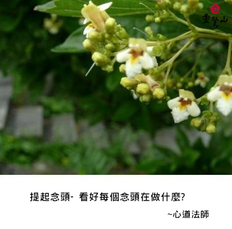 心道法師語錄