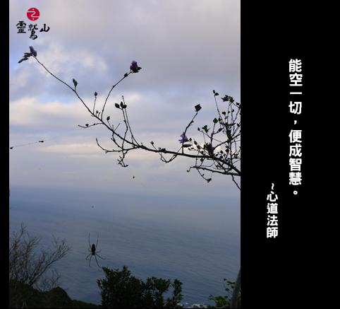 心道法師語錄