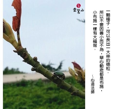 心道法師語錄
