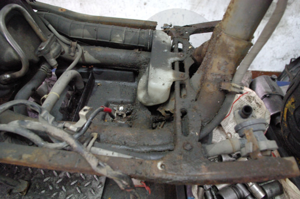 車架在脊椎位置的銹蝕和左側肋條銹蝕