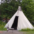 挪威 - 奧斯陸的露天民俗博物館: 模仿挪威原住民薩米人(Sami)的傳統皮毛帳篷lavvu, 以及薩米人飼養的馴鹿(reindeer)