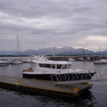 挪威 - Hurtigruten Ålesund - Molde