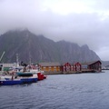 挪威 - Hurtigruten Svolvær