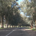 摩洛哥 - Volubilis - Tetouan