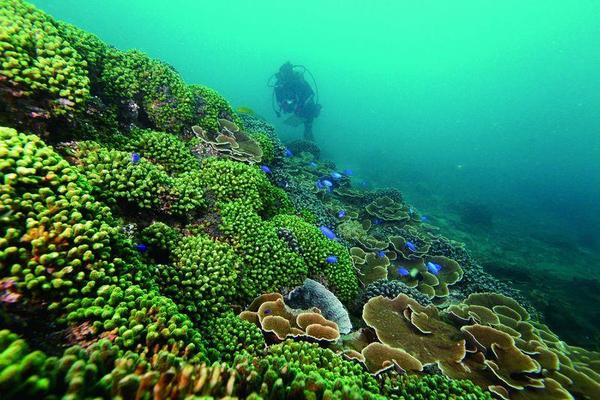 澎湖花火節澎湖民宿首選！和昇閒雲會館以經典童話故事主題設計，澎湖旅遊超值優惠