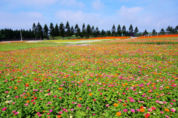 澎湖花火節澎湖民宿首選！和昇閒雲會館以經典童話故事主題設計，澎湖旅遊超值優惠
