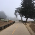 Monterey 的濱海大道