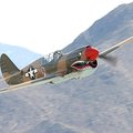 (美) P-40 Warhawk