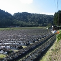 [宜蘭]福山植物園1224