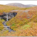 冰島健行覓秋色（九）：奼紫嫣紅簇擁冰河瀑布