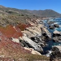 中加海岸2022：野花與波瀾相逢在六月