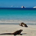 加拉帕戈斯群島2023：聖克里斯托巴島魅力風光