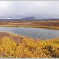 冰島健行覓秋色（五）：米湖秋華正茂