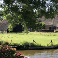 荷蘭遊記2019（三）荷蘭威尼斯 ~ 羊角村