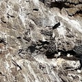 中加海岸2022：狼角州立保護區魅力無窮