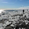 冰島陽光行：鑽石沙灘的奇蹟