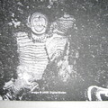 一生至少要去受洗一次  的  臺灣之光---2005年貢寮真命天子龍穴衛星空照圖呈現人頭人形圖案