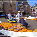 2017 荷蘭Netherlands~阿克馬Alkmaar