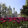 2019 奧地利(Austria)~~維也納(Vienna)  (1)