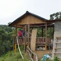2011.8.24光耀農地